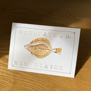 Novo Home Card com trocadilho