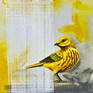 Yellow Warbler Art Print