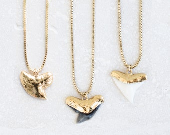 Gold Shark Tooth Box Necklace, Shark Tooth Pendant Necklace, Shark Tooth Necklace Gold, Sharks Tooth Necklace, Shark Teeth Jewelry