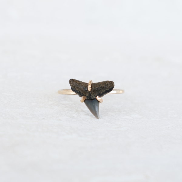 Black Fossil Shark Tooth Ring, Gold Shark Tooth Ring, Dainty Shark Tooth Ring, Real Shark Tooth Ring, Natural Shark Tooth Ring, IslandAshes