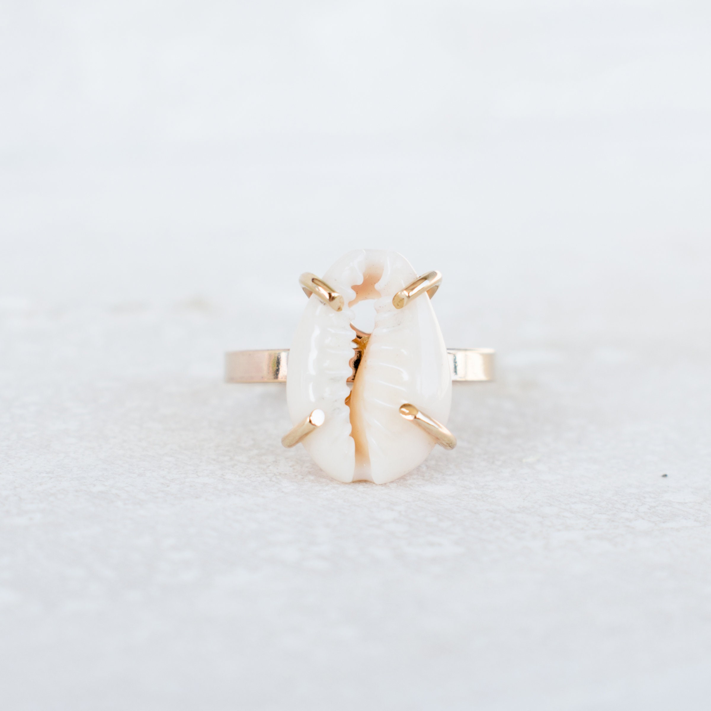 Wirequeen Artisan Wire Wrap Cowrie Shell Ring in 18 Gage SS Sizes 8 9 ...
