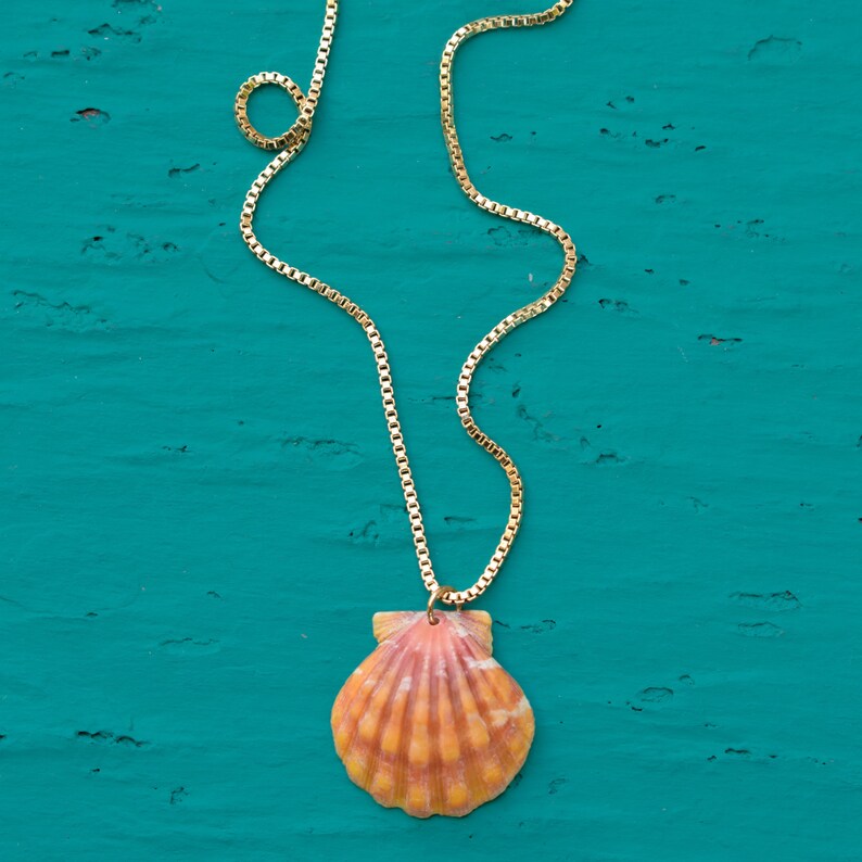 Sunrise Shell Necklace Sunrise Shell Pendant Shell Pendant Etsy