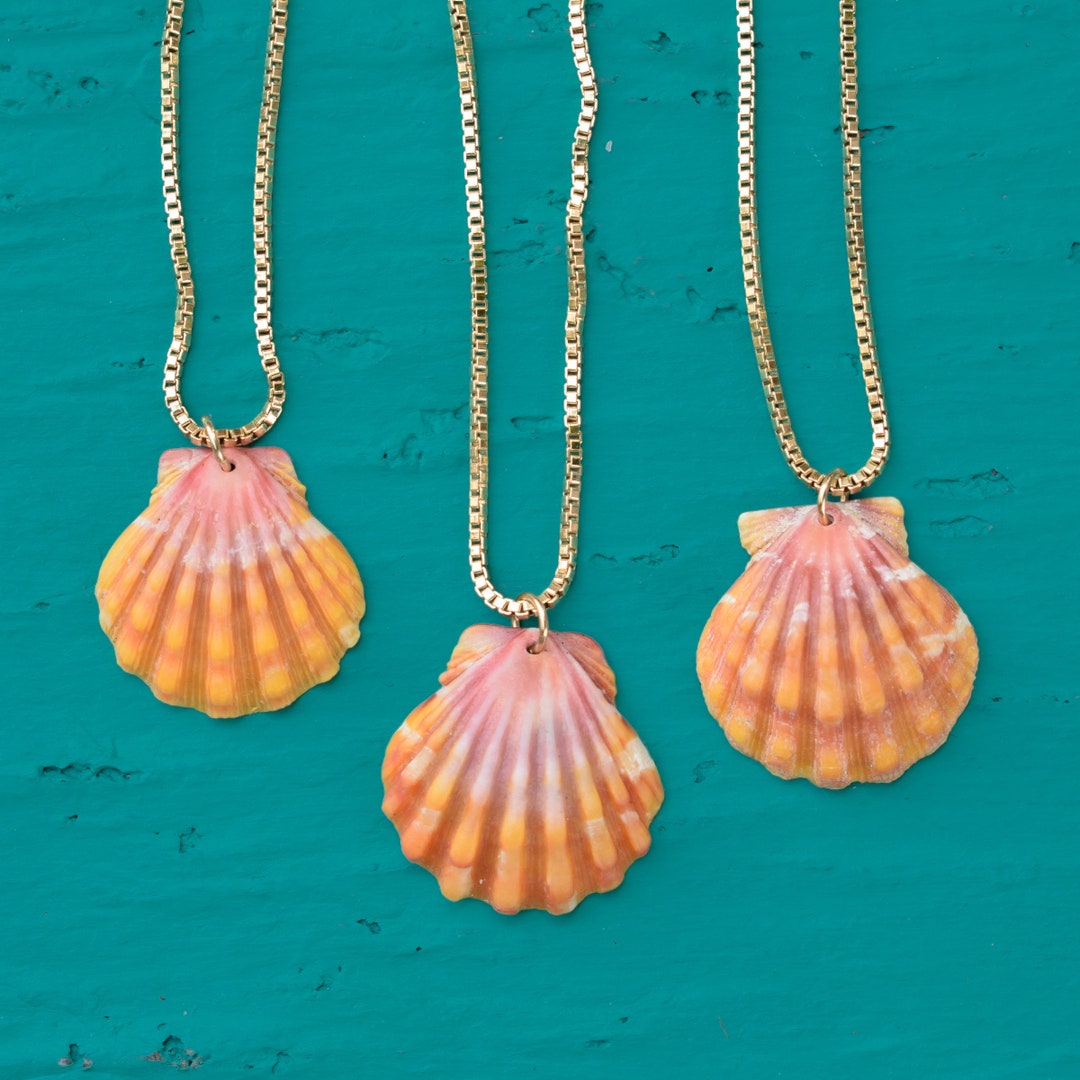 Sunrise Shell Necklace, Sunrise Shell Pendant, Shell Pendant Necklace