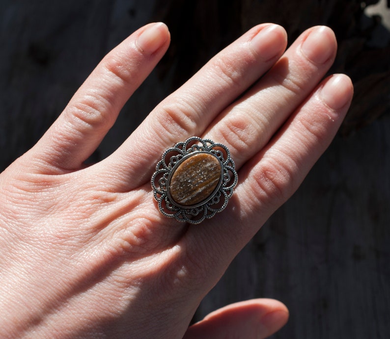 Petrified Wood Ring