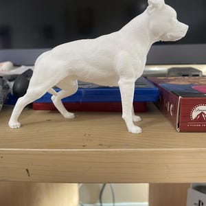 3D Printed American Pitbull Male Figure
