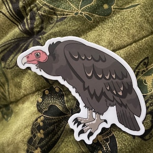Turkey Vulture Sticker