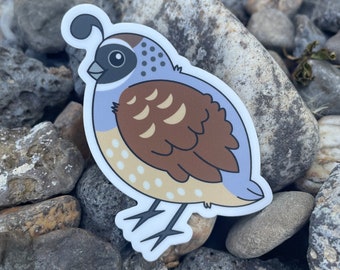 Sticker schattige kwartelvogel - laptop, tablet, autosticker