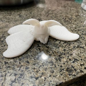 以下が含まれることがあります： 羽に複雑なディテールが施された、白い3Dプリントの蛾のモデルです。