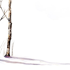 Birch Trees in January
