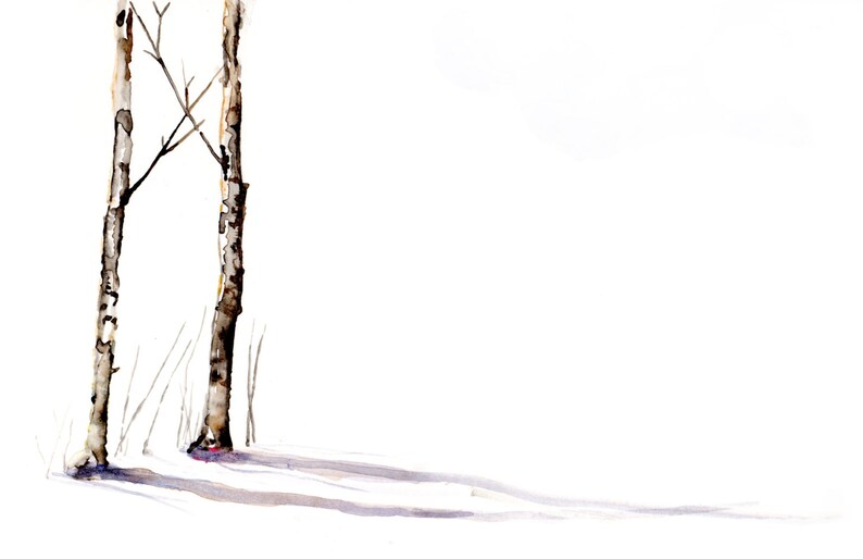 Birch Trees in January image 1