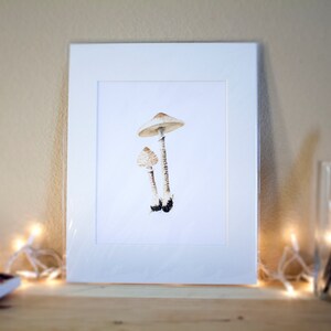 Parasol Mushroom