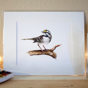 Sparrow