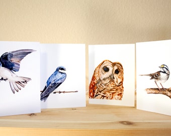 Bird Greeting Cards