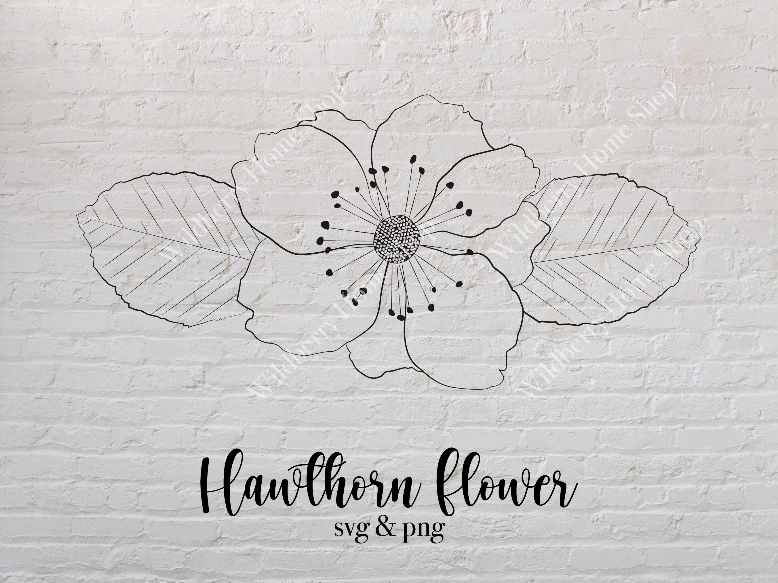 Hawthorn Flower Tattoo  Etsy