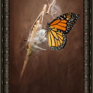 Limited Edition Artwork &quot;Monarch On Milkweed No 3&quot;