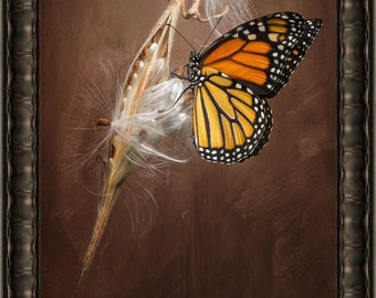 Limited Edition Artwork "Monarch On Milkweed No 3"