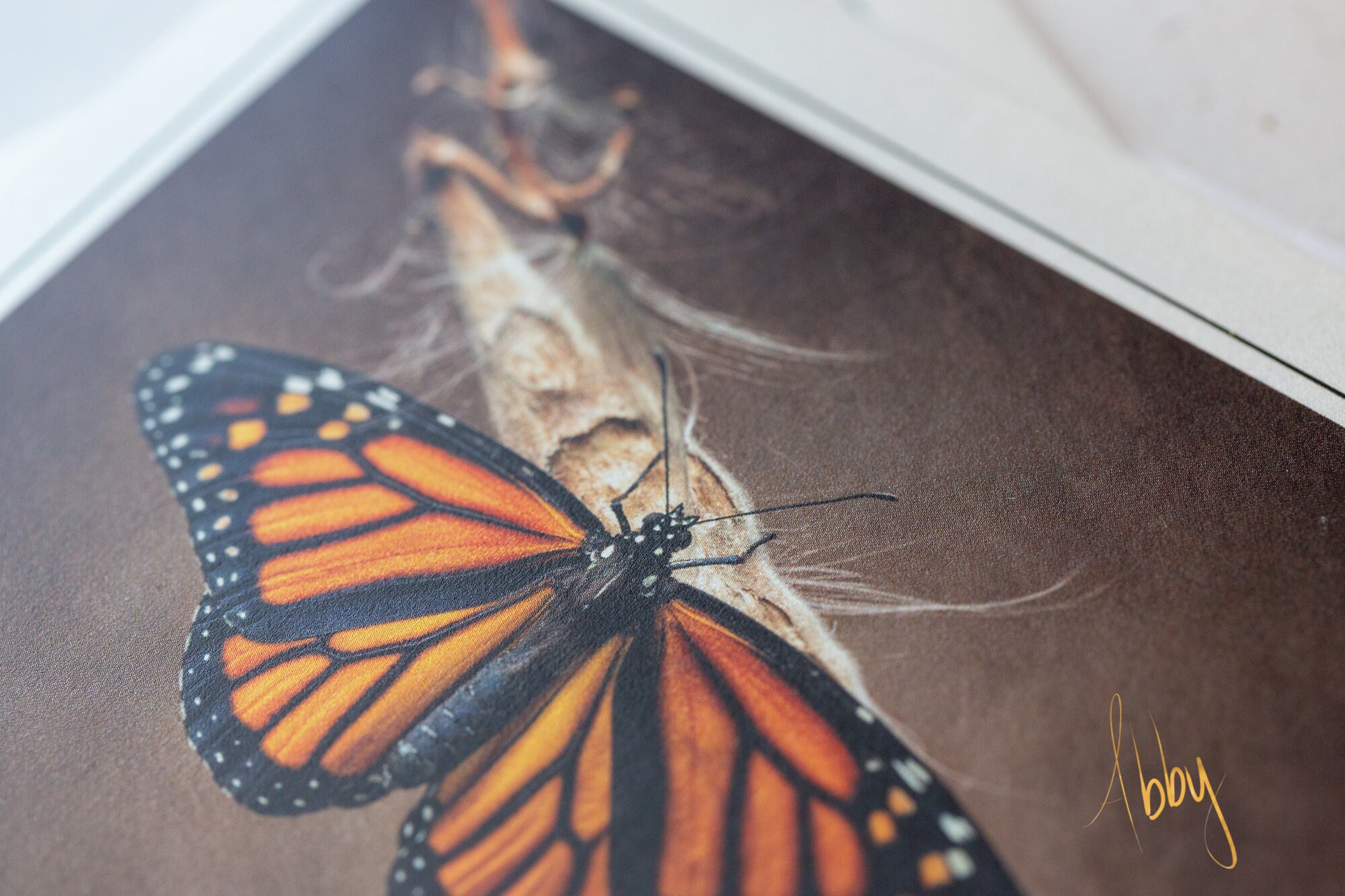 Monarch Butterfly Blank Note Cards; Original Butterfly Artwork - Etsy