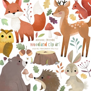 Watercolour Animals, Hand-Drawn, Clip Art Bundle, Commercial License, Design Elements, Digital Download, Woodland animals, Owl, Png Clipart