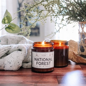 National Forest state park, camping & outdoors soy candle image 5