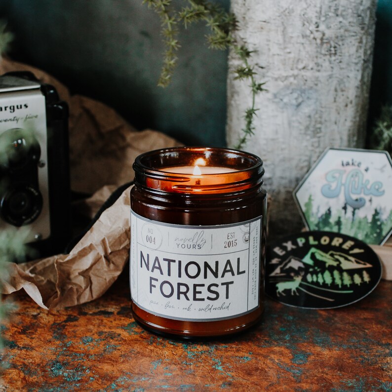 National Forest state park, camping & outdoors soy candle image 2