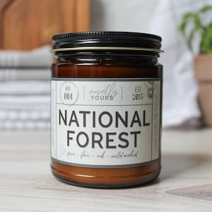 National Forest state park, camping & outdoors soy candle image 1