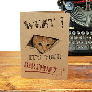 Ceiling CAT - BIRTHDAY Card - Humour - Humor - Internet Cat - Funny Cat - Recycled