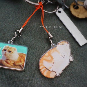 Blorp: Funny Cat Keychain Acrylic 3 inch Cute Kitty Charm Waffles the Cat Orange Cat Tabby image 2