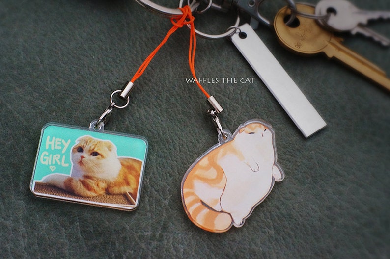 Blorp: Funny Cat Keychain Acrylic 3 inch Cute Kitty Charm Waffles the Cat Orange Cat Tabby image 2