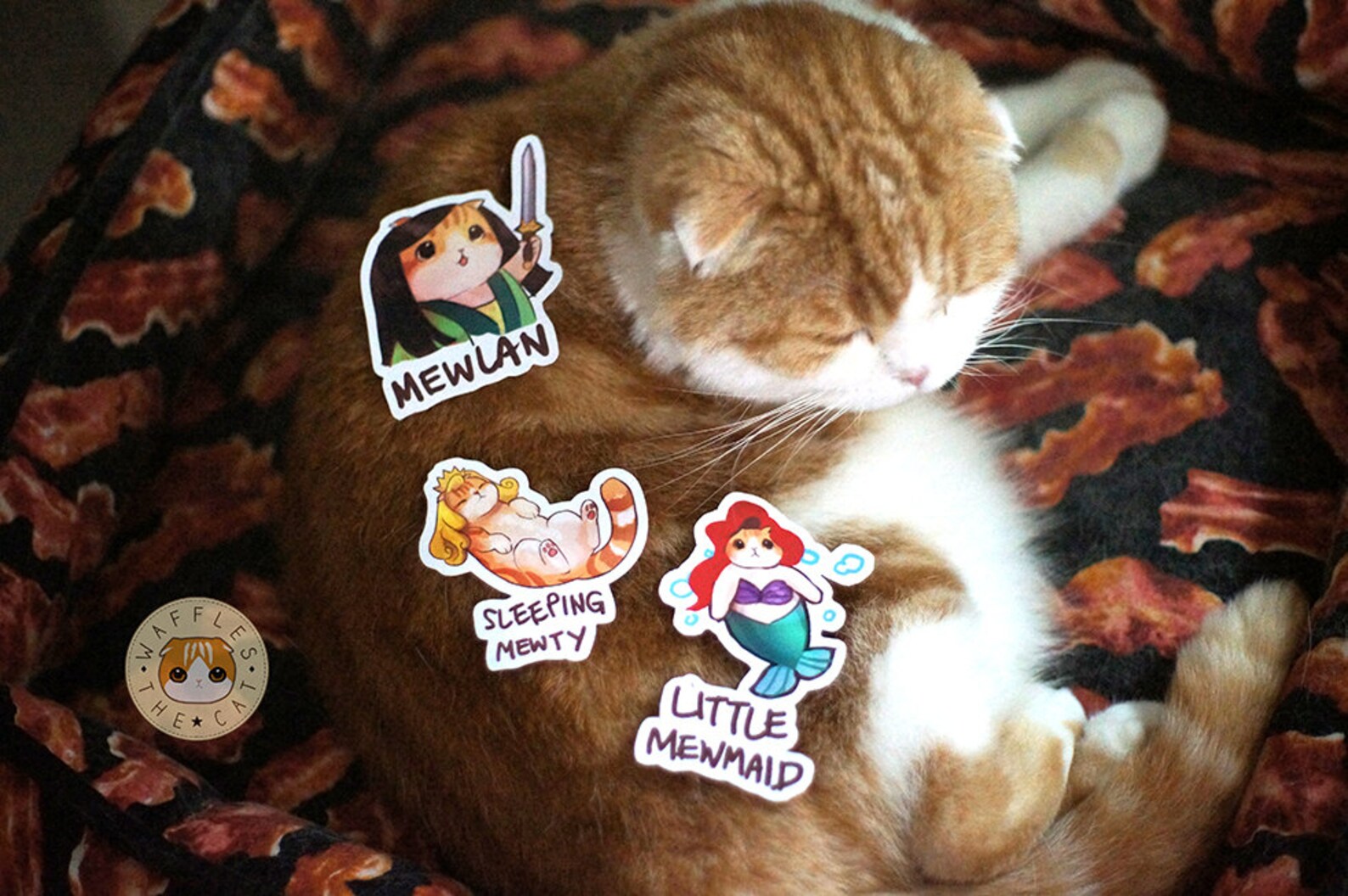 waffles the cat 33 roblox home waffles the cat 33 roblox home