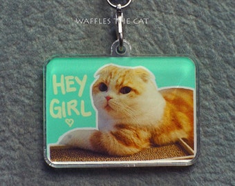 Hey Girl: Funny Cat Keychain Acrylic  1.5 inch Cute Kitty Charm Waffles the Cat