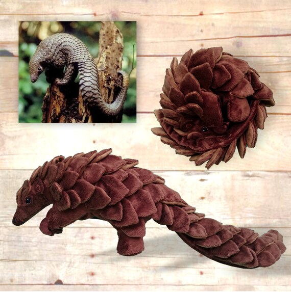 pangolin peluche