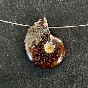 19mm Ammonite Fossil Pendant Whole Small Ammonite Natural Fossil Stone Pendant Brown 19x15x5mm Natural Fossil Jewelry Stone Pendant (#1)