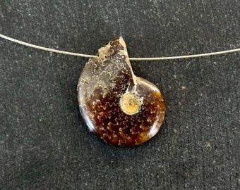 19mm Ammonite Fossil Pendant Whole Small Ammonite Natural Fossil Stone Pendant Brown 19x15x5mm Natural Fossil Jewelry Stone Pendant (#1)