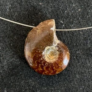 19mm Ammonite Fossil Pendant Whole Small Ammonite Natural Fossil Stone Pendant Brown 19x15x6mm Natural Fossil Jewelry Stone Pendant (#3)