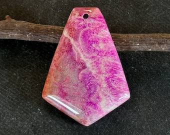 48mm Fossil Coral Pendant Pink Gemstone Shield Shape Natural Coral Dyed Pink Beige 48x35x7mm Natural Stone Pendant (865)
