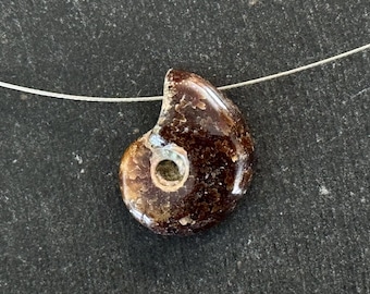 19mm Ammonite Fossil Pendant Whole Small Ammonite Natural Fossil Stone Pendant Brown 19x15x7mm Natural Fossil Jewelry Stone Pendant (#2)