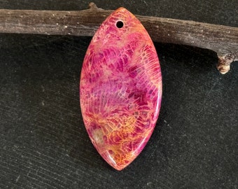 46mm Fossil Coral Pendant Marquise Stone Gemstone Natural Coral Pink Brown Coral 46x23x7mm Natural Stone, Dyed Organic Stone (215)