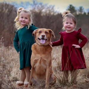 May include: A portrait of two young girls and a dog. The girls are wearing long-sleeved dresses, one in dark green and the other in burgundy. The dog is brown with its tongue out. They are standing in a field of tall grass.