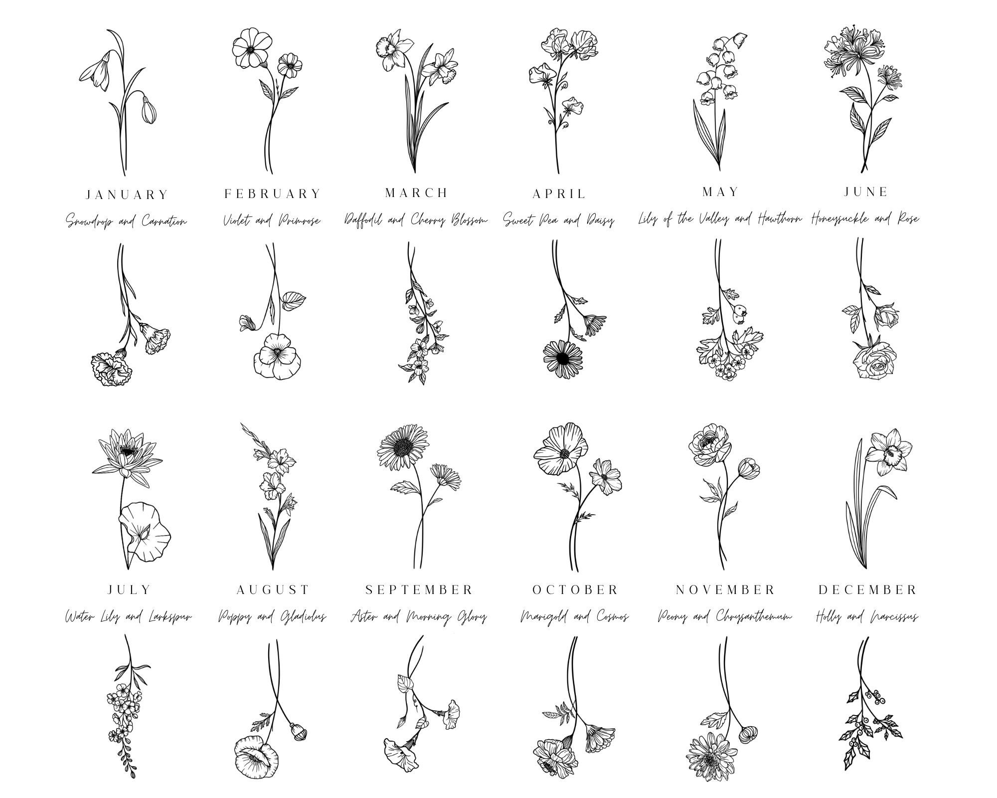 June Birth Month Flower Wall Art Minimalistic Birthday Gift Etsy UK