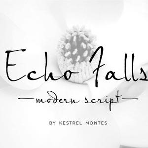 Echo Falls フォント: モダンなブラシカリグラフィー (Web 版あり)