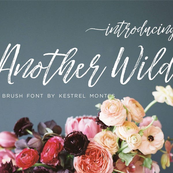 Otra fuente Wild Brush: caligrafía moderna (versión web incluida)