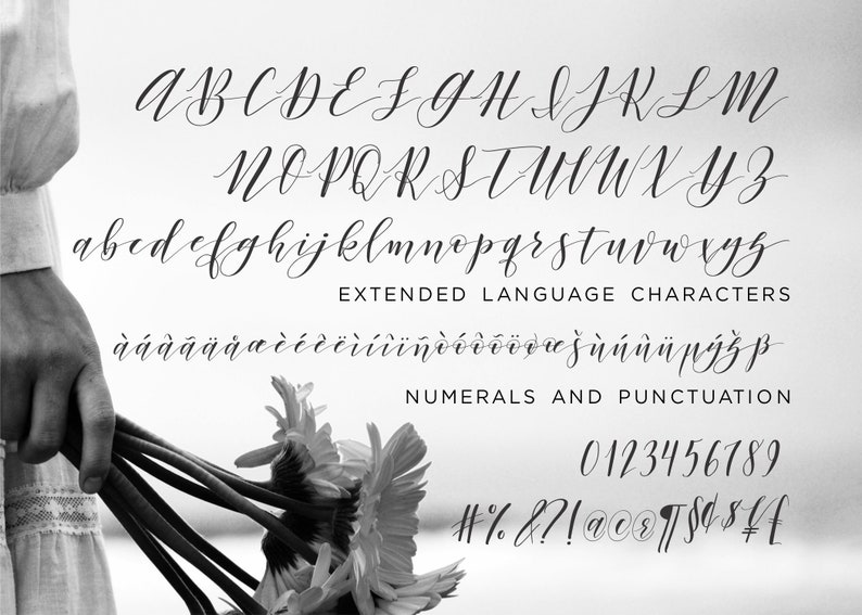 Calligraphy Font by Kestrel Montes, Argentinian Nights, Handlettered Calligraphy Font, Commercial Web Font, Wedding Invitation Swashes Font image 5