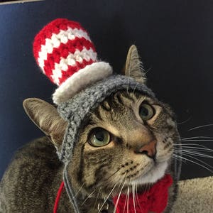 Top Hat Cat Hat image 1