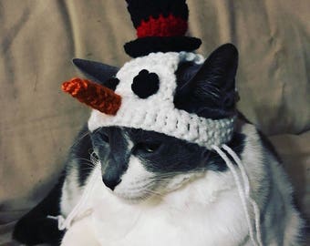 Snowman Cat Hat