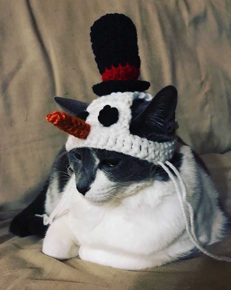 Snowman Cat Hat image 1