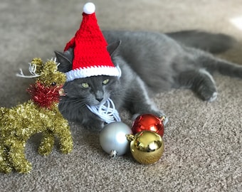 Santa Cat Hat