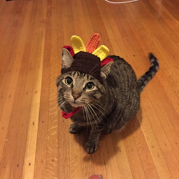 Turkey Cat Costume - Thanksgiving