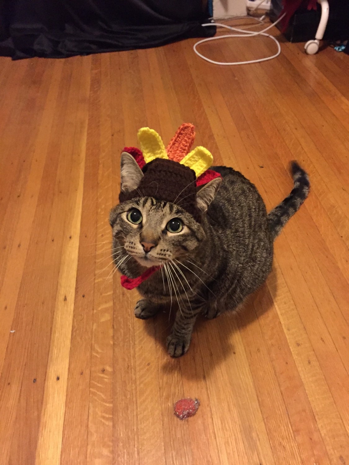  Happy Thanksgiving Turkey Fake Kitten Cat Day Love Turkey Tank  Top : Clothing, Shoes & Jewelry