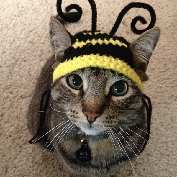 Bee Cat Hat