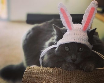 Bunny Cat Hat